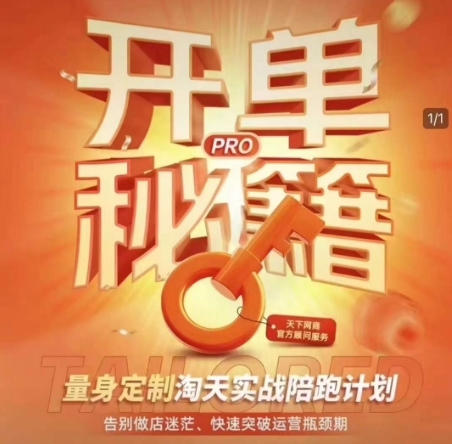 淘宝开单秘籍PRO，量身定制淘天实战陪跑计划，告别做店迷茫、快速突破运营瓶颈期（更新6月）-零云博客