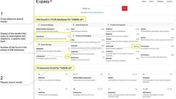服务器选择攻略：匹配网站 SEO 需求-零云博客