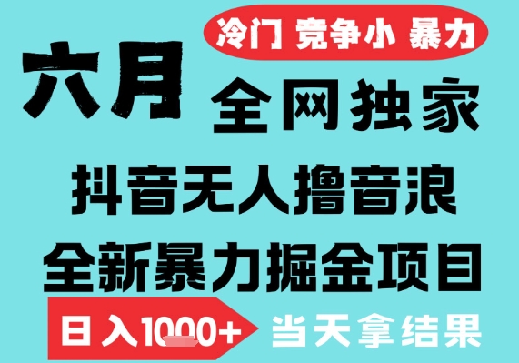 2025年6月高爆抖音无人直播最新撸音浪掘金项目，无脑日入1k+，低门槛小白可做，可矩阵放大【揭秘】-零云博客