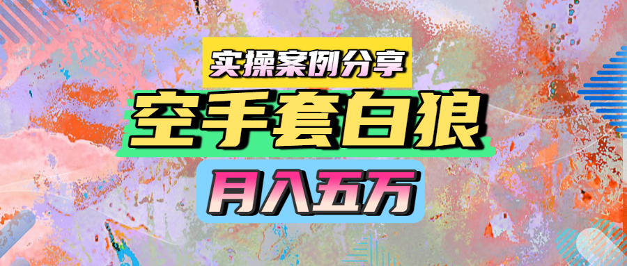空手套白狼，月入五万，实操案例分享-零云博客