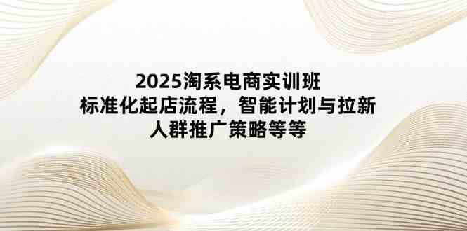 2025淘系电商实训班：标准化起店流程，智能计划与拉新，人群推广策略等等-零云博客