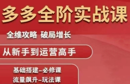 拼多多全阶实战课程，全维攻略，破局增长，从新手到运营高手-零云博客