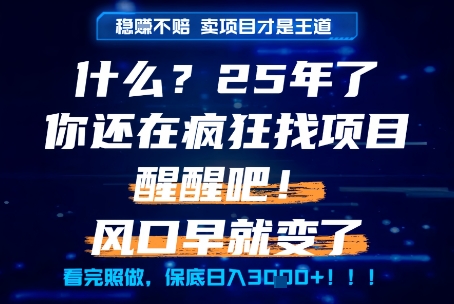 什么？25年你还在疯狂找项目做，醒醒吧，看完这些你全都懂了！【揭秘】-零云博客