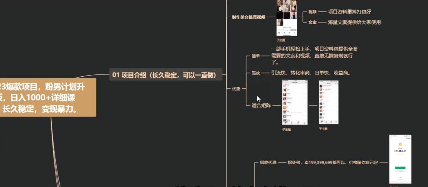 男粉计划升级版，日入 1000+ 详细课程，长久稳定，变现暴力-零云博客
