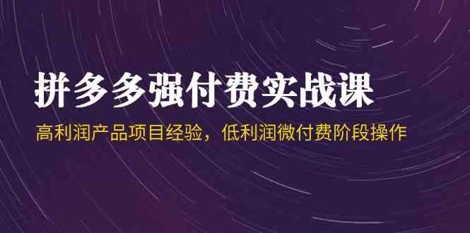 拼多多强付费实战课-44期，高利润产品项目经验，低利润微付费阶段操作-零云博客