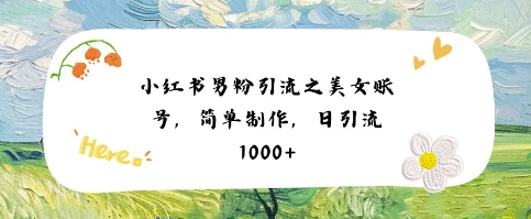 小红书男粉引流项目之美女账号6，简单制作，条条爆款原创，不违规-零云博客