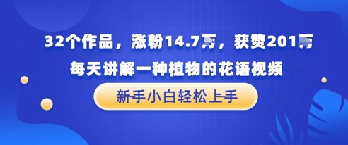 32个作品，涨粉14.7W，获赞201W，每天讲解一种植物的花语视频，无需任何技巧，新手小白轻松上手-零云博客