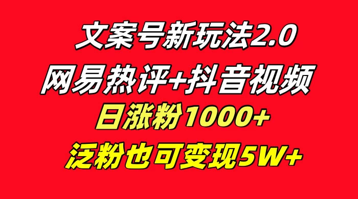 文案号新玩法，网易热评+抖音文案 一周轻松涨粉 5W+ 多种变现模式-零云博客