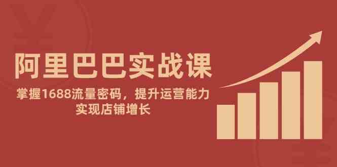阿里巴巴实战课：掌握1688流量密码，提升运营能力，实现店铺增长-零云博客