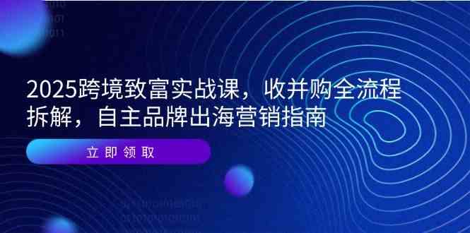 2025跨境致富实战课，收并购全流程拆解，自主品牌出海营销指南-零云博客