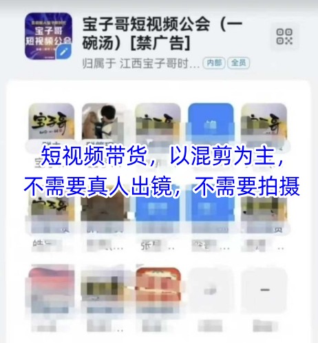 宝子哥头部团队短视频带货，以混剪为主，不需要真人出镜，不需要拍摄【更新】-零云博客