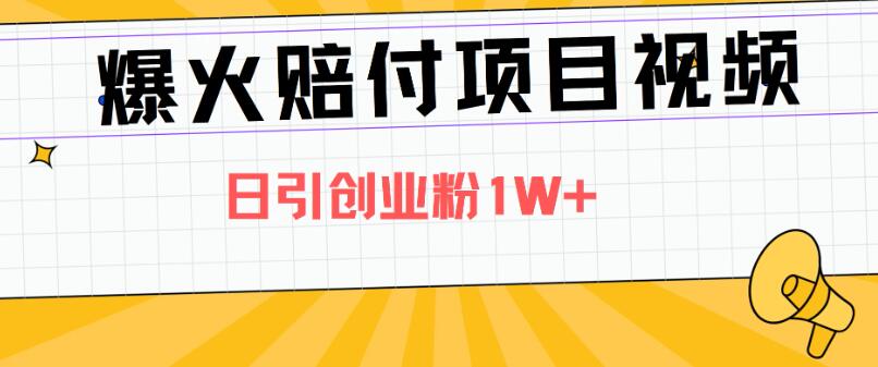 爆火赔付项目视频，全网平台进行引流，日引创业粉1W+-零云博客