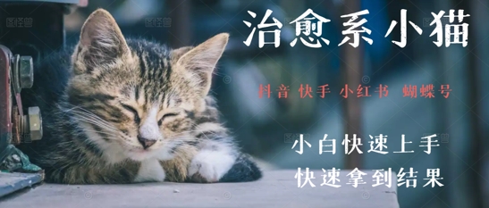 拆解，疯狂火爆！抖音，小红书，视频号小猫治愈的视频，轻松制作+快速拿到结果-零云博客