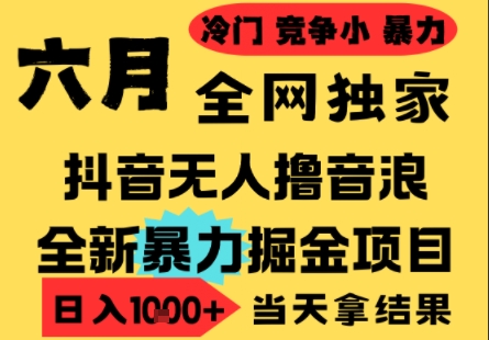 25年6月高爆抖音无人直播最新撸音浪掘金项目，小白可做，无脑日入1k+，门槛低可批量矩阵【揭秘】-零云博客